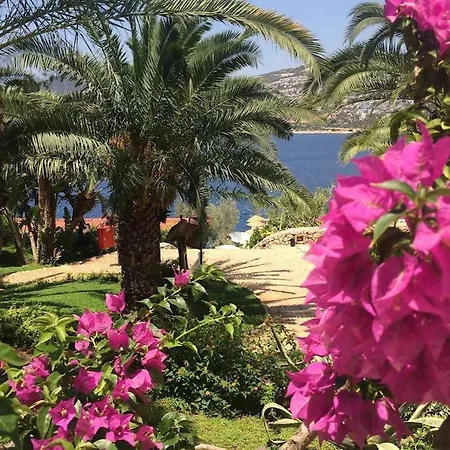 Villa D'La Veria Vila *